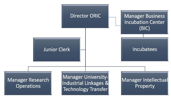 ORIC Organogram